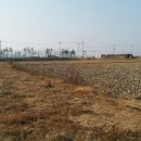 삼산면사무소 이미지