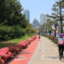 갈맷길(2코스) 이미지