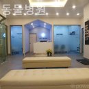 스칸디동물병원 이미지