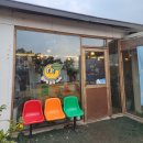 탐나는 펜션 | 제주 귤 따기 체험 후기 🍊｜탐나는농장에서 즐긴 부부 제주 여행 체험코스