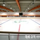 스포츠센타 이미지