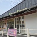 토토로의 숲 힐링카페 | 한옥카페, 율리카페,울산카페추천-토토로의 숲힐링카페