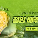 조철현마트