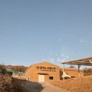 말하는 은행나무 | 대구 근교 가볼만한곳 가을 명소 소원을 들어주는 칠곡 말하는 은행나무 후기