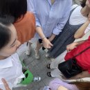 다이소전주 - 전주시 덕진구 동부대로 803 | 다이소전주