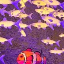 거양8길-1 이미지