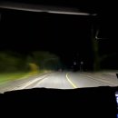 동행주유소 | 오키나와 운전 완벽 가이드 : 일본에서 첫 운전 난이도·후기·네비 총정리