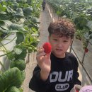 계명대 수 태권도 | 베스트태권도 아이 성장에 최적화된 베스트 태권도장 솔직 후기