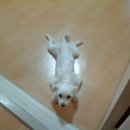 전라도한식