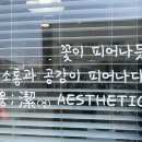 피움결에스테틱