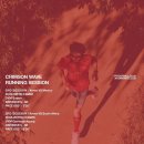 푸마 디비에이트 나이트로 퓨어 트라이얼 후기｜CRIMSON WAVE 러닝 세션