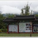 상림공원에서 만난 9월의 여왕 꽃무룻 (석산) 이미지