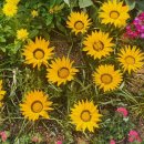 주식회사 신경성 이미지