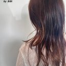 비비디앤