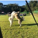 윤후동물병원 이미지