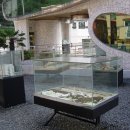 바람의언덕길 이미지