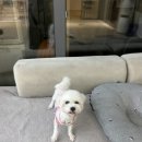 쓰다드멍 이미지