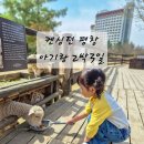 휘닉스인앤아웃 | 켄싱턴 평창 아기랑 2박3일 코스 총정리 (33개월 일정, 온돌룸 솔직 후기)