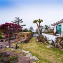 하모니리조트 이미지