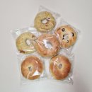 홍대 베이글 맛집 여기요 여기! 너구리베이글! (솔직후기)