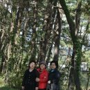 모동초등학교 이미지