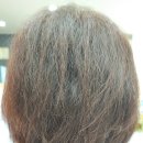 머리하기좋은날미용실 | 복구매직 잘하는 곳/ 탄머리복구/복구펌전문살롱 /영도미용실머리하기좋은날/ good day salon