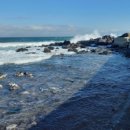 밀라노펜션 이미지