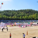 한국불교대학 대관음사 창건 26주년 기념 총동문 축제의 날 체육대회 이미지