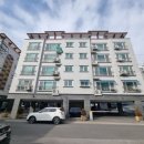 대백애견 이미지