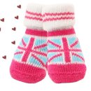 유니온 펫 이미지