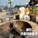 삼백로 | 용인곤충테마파크 솔직후기｜7세 아이 반응 + 체험 총정리