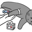 AVC 동물메디컬센터 이미지