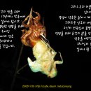 장차이나 이미지
