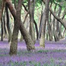 황성공원 실내체육관 이미지