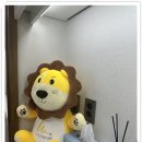 타임리스피부과의원 | 올리지오x 300샷 리프팅 타임리스피부과고덕 후기