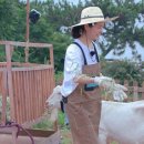 방글목장 이미지