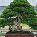 호암가든 이미지