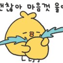 목포옥암초등학교 이미지