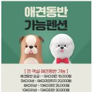 씨엔스타 이미지