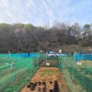 기특이네 농장 이미지