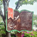 풍암호수작은도서관 | 풍암호수 작은도서관/(2024.4.17)