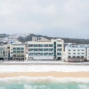 봉포대게찜 게 섯거라 이미지