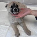 정남119안전센터-2 이미지