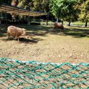 소명목장 이미지