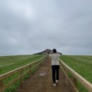 머멍상점 | 보령여행 1박2일 보령여행코스 총정리 / 보령머드축제 / 대천해수욕장 / 보령청보리밭
