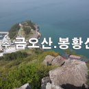 제94차정기산행여수향일암봉황산금오산 이미지