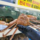 왕창상회 이미지