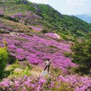 제308차 합천 황매산 (철축축제100대명산)5월7일첫째주 이미지