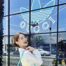 더클라라