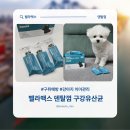 구강농장 | 벨라맥스 강아지 구강 유산균으로 입냄새 관리해본 후기